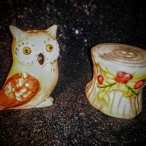 Cracker Barrel Owl Salt and Pepper Shakers